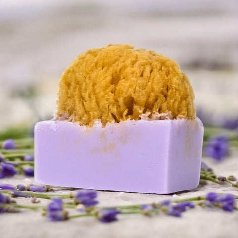 Lavender - All skin type | Calming - Naturalis Handcrafted Soaps