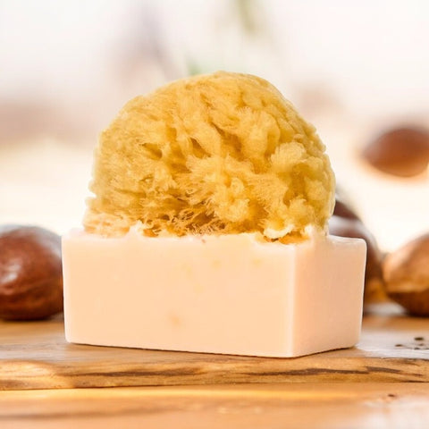 Shea ButterUltra-moisturizer | Anti-aging - Naturalis Handcrafted Soaps
