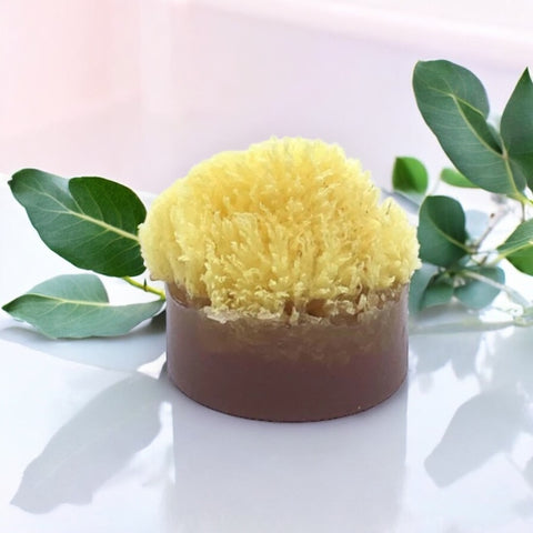 Eucalyptus Shaving Soap - Naturalis Handcrafted Soaps