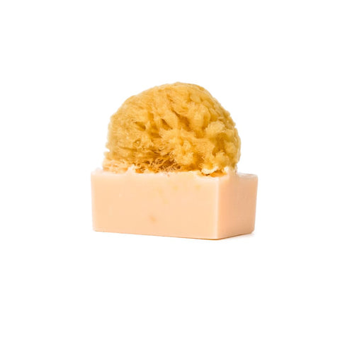 Shea ButterUltra-moisturizer | Anti-aging - Naturalis Handcrafted Soaps
