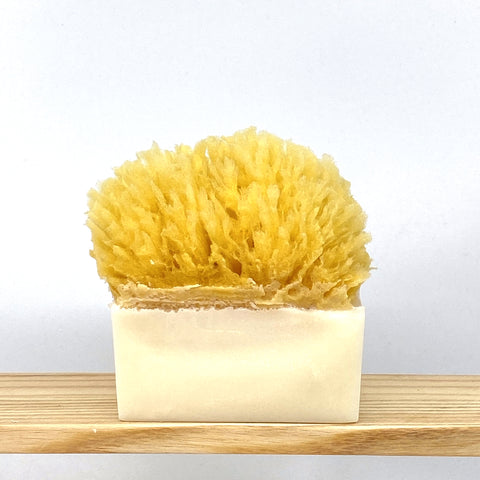 Hyaluronic Acid + Collagen Face wash | Anti-aging - Naturalis Handcrafted Soaps