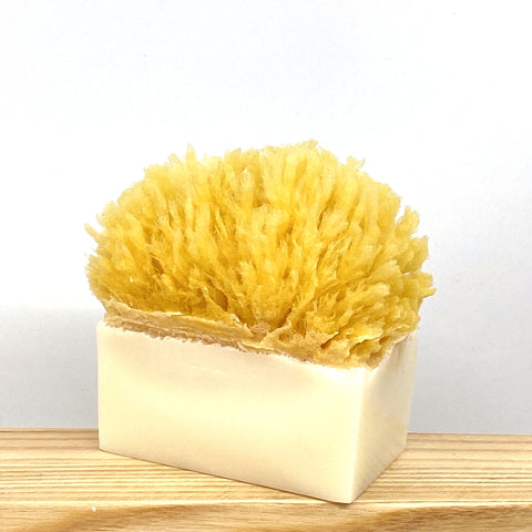 Hyaluronic Acid + Collagen Face wash | Anti-aging - Naturalis Handcrafted Soaps