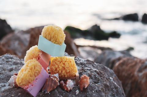 Sea Sponge Soap