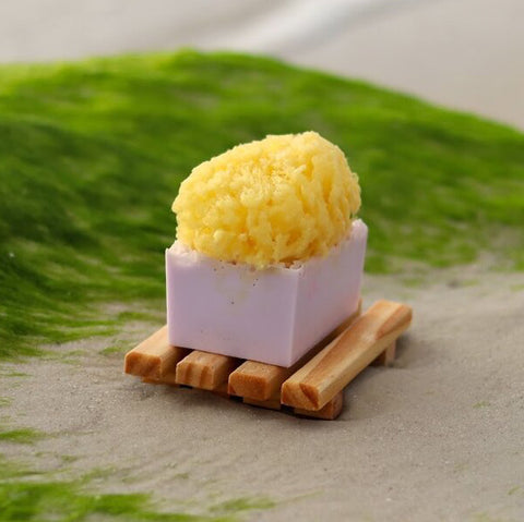 CBD Sea Sponge Soaps