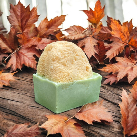 Pumpkin Spice Soap