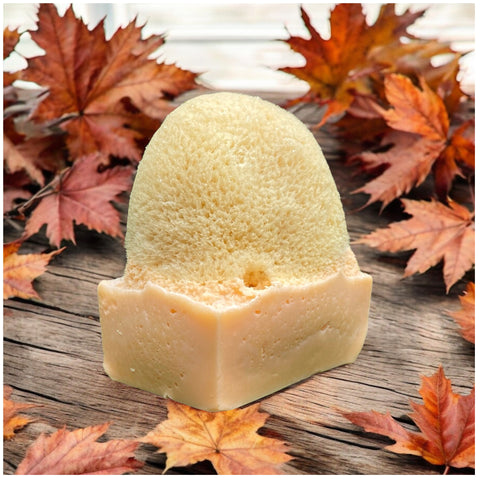 Pumpkin Spice Soap