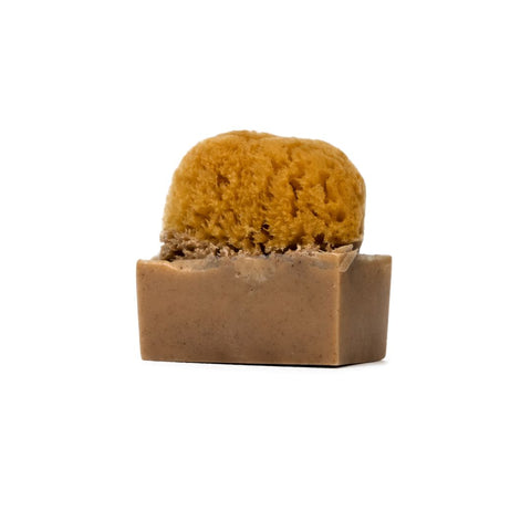 Elderberry Soap (Maqui Berry)