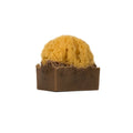Coffee Soap - Exfoliates the skin